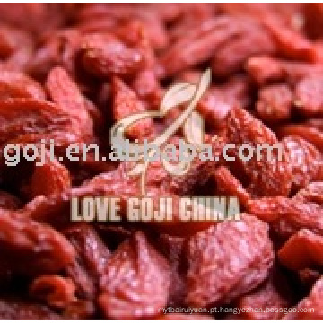 Goji Berry infundido